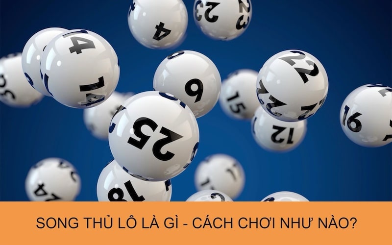 Vài nét chính về nuôi Song Thủ Lô
